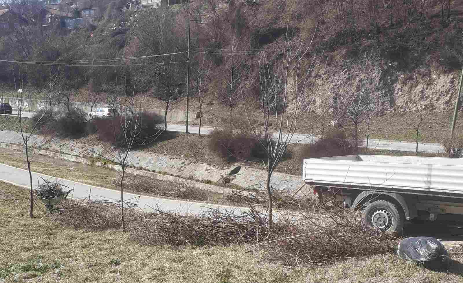 Izdvojeno: Nastavak radova na uređenju javnih zelenih površina