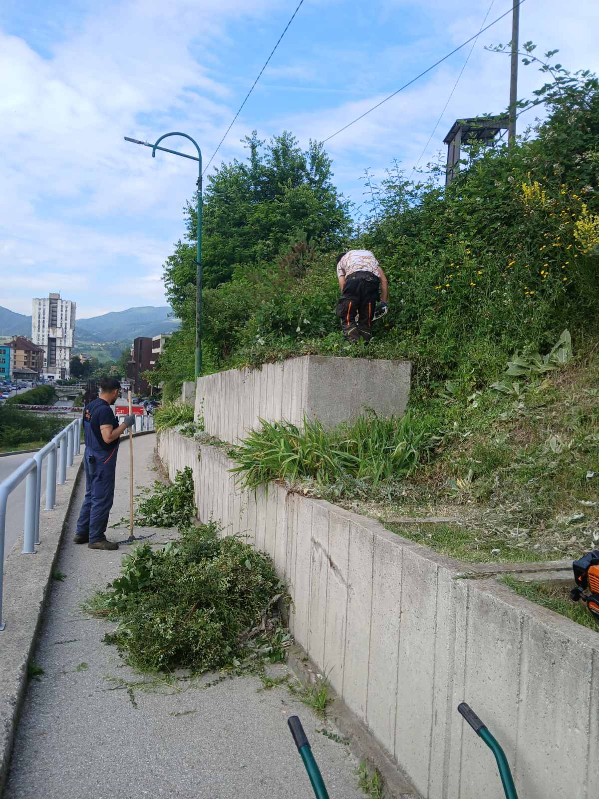 Aktuelni radovi na održavanju javnih zelenih površina