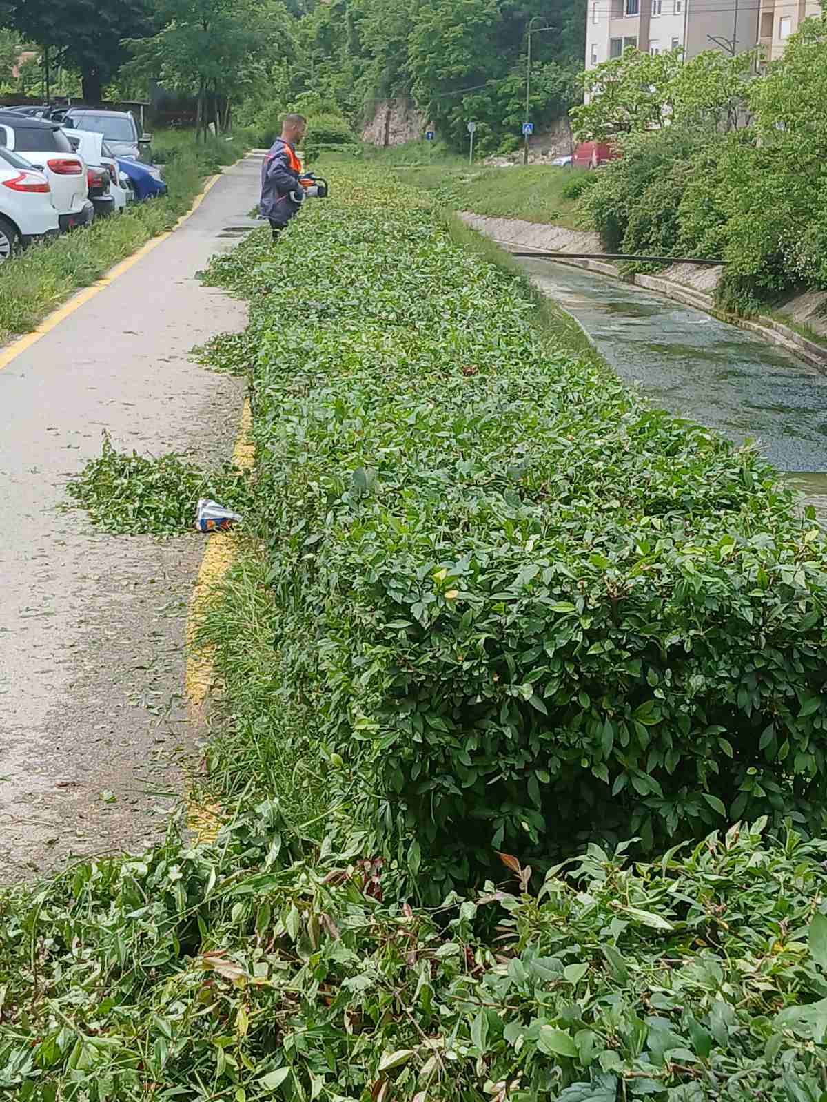 FOTO: Uređenje javnih zelenih površina