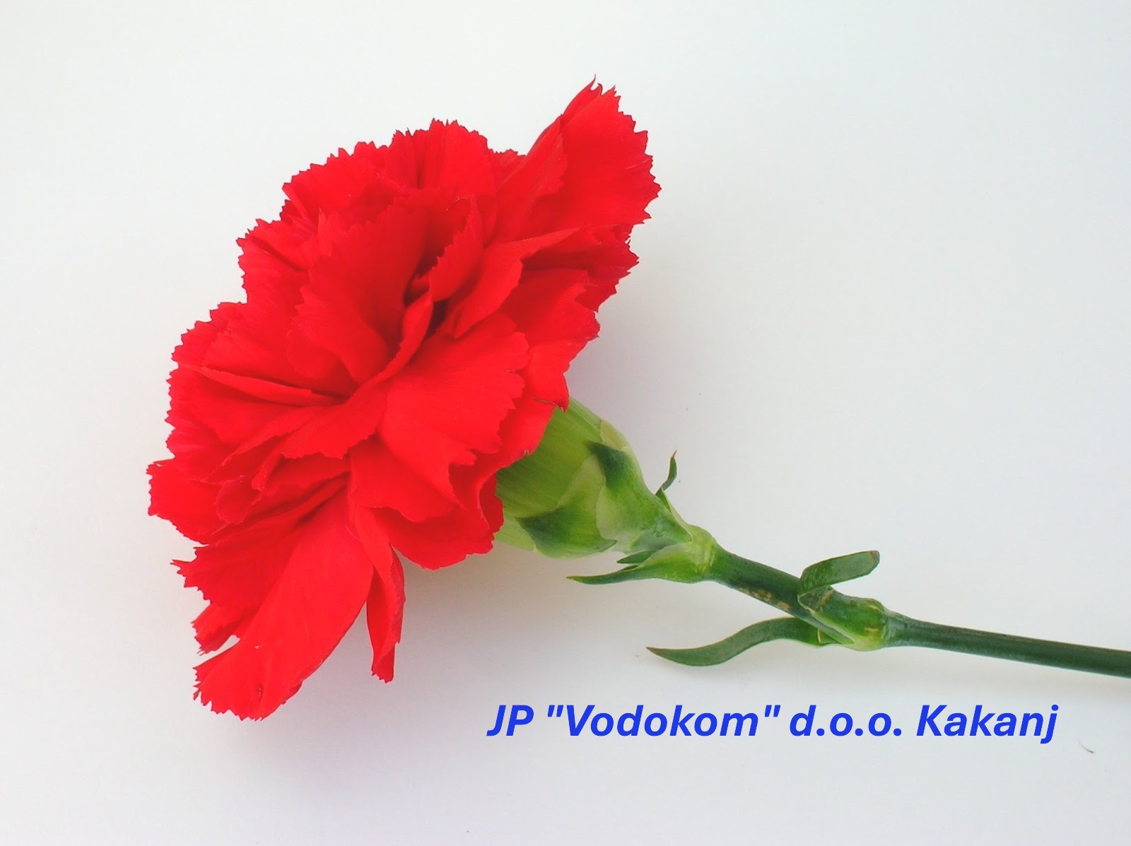 Obavještenje o rasporedu rada službi tokom 1. i 2. maja