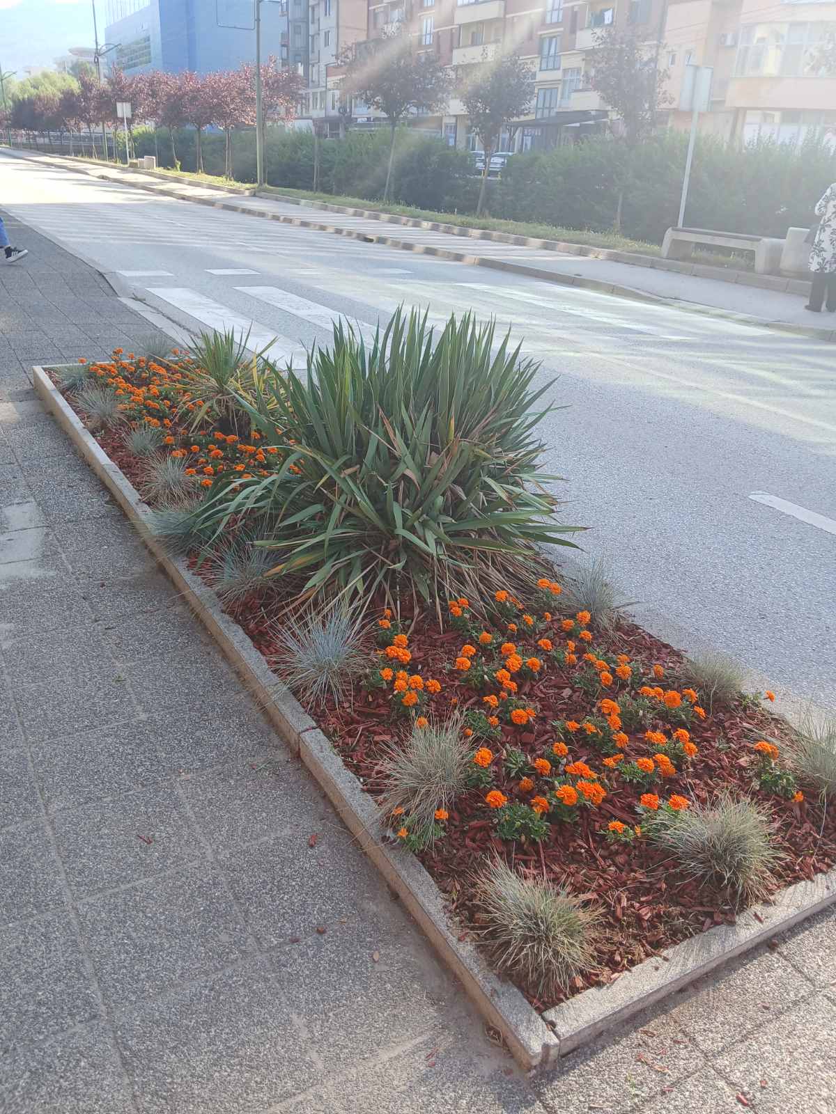 Fotogalerija: Pojačane aktivnosti na održavanju javnih zelenih površina