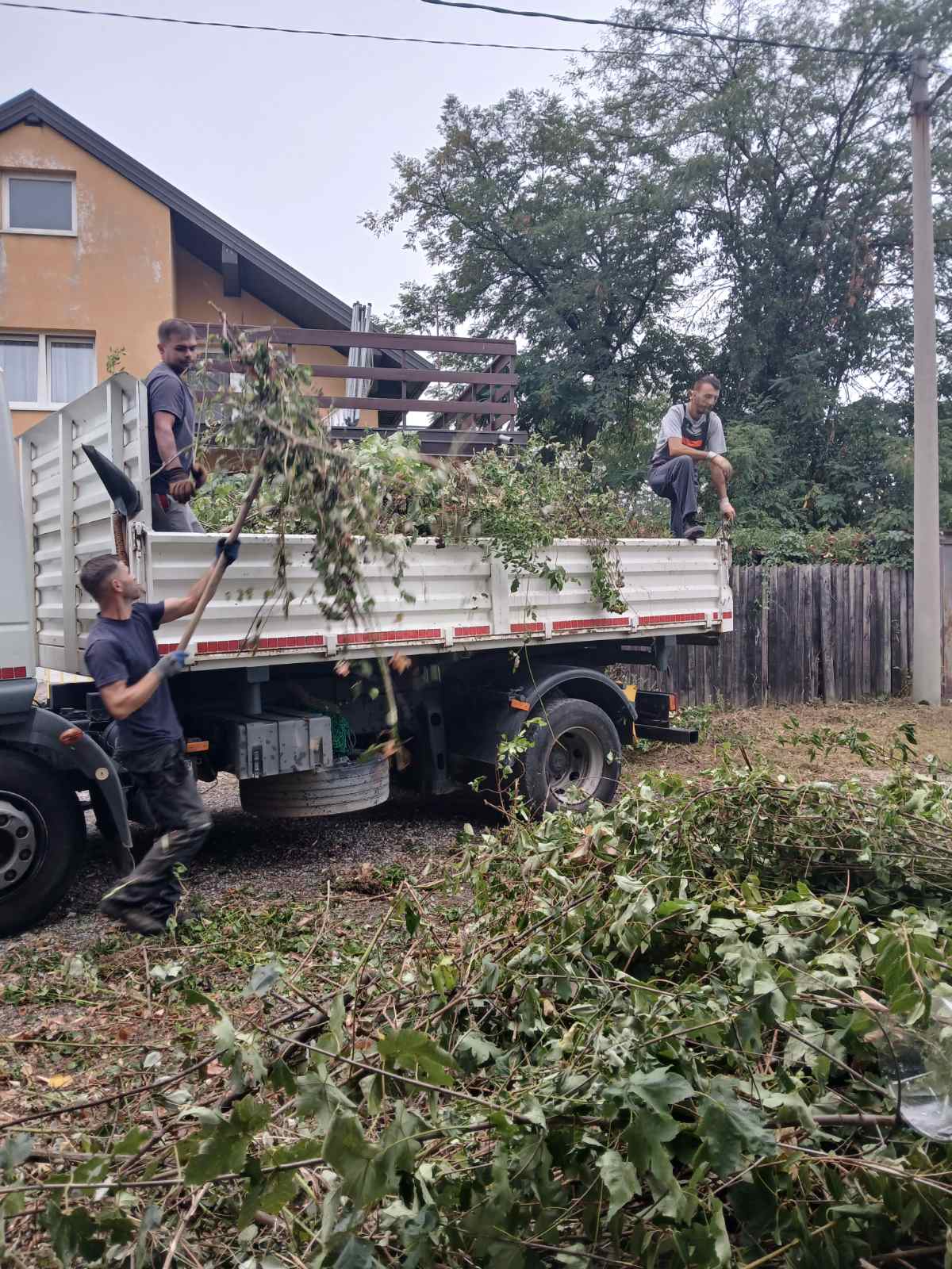 Sezonsko održavanje javnih zelenih površina
