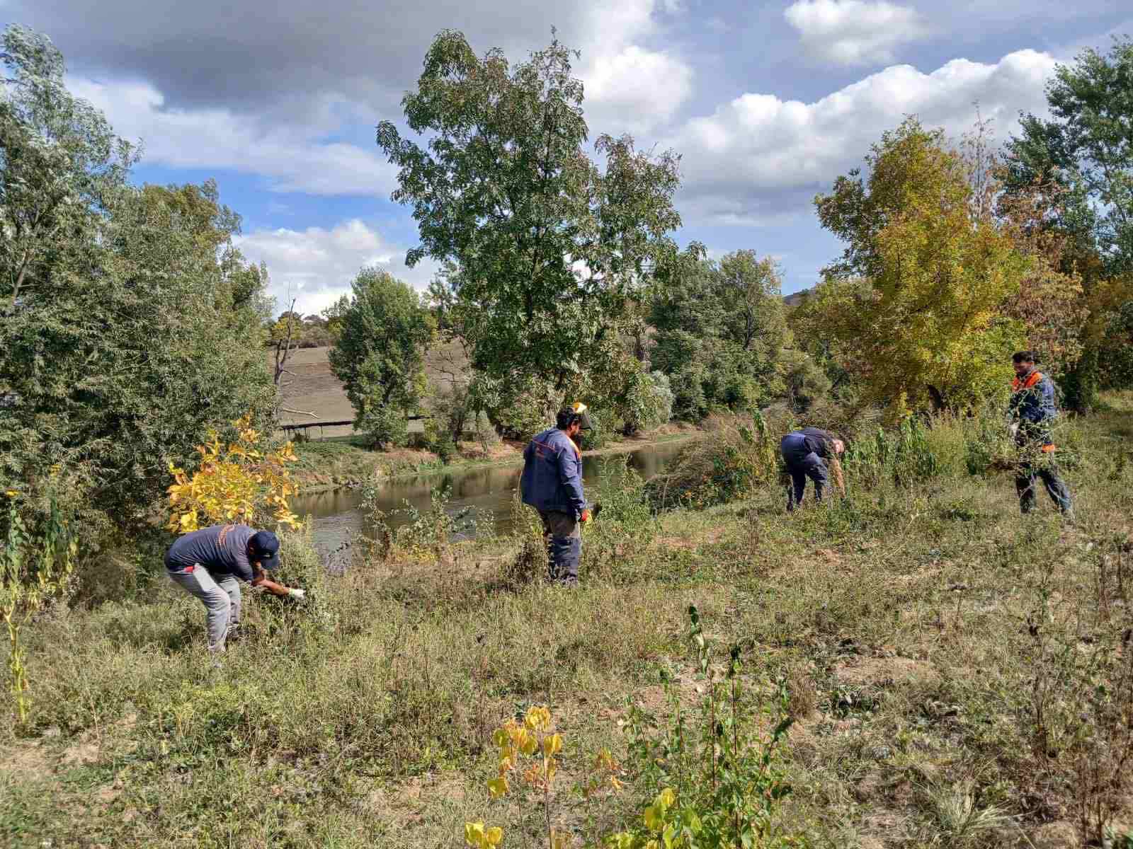 JP „Vodokom“ d.o.o. Kakanj uspješno realizovalo projekat suzbijanja i uništavanja ambrozije